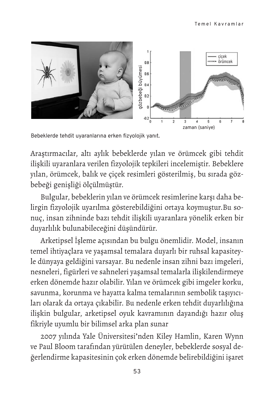 Arketipsel İşleme Tekniği kitap kapağı