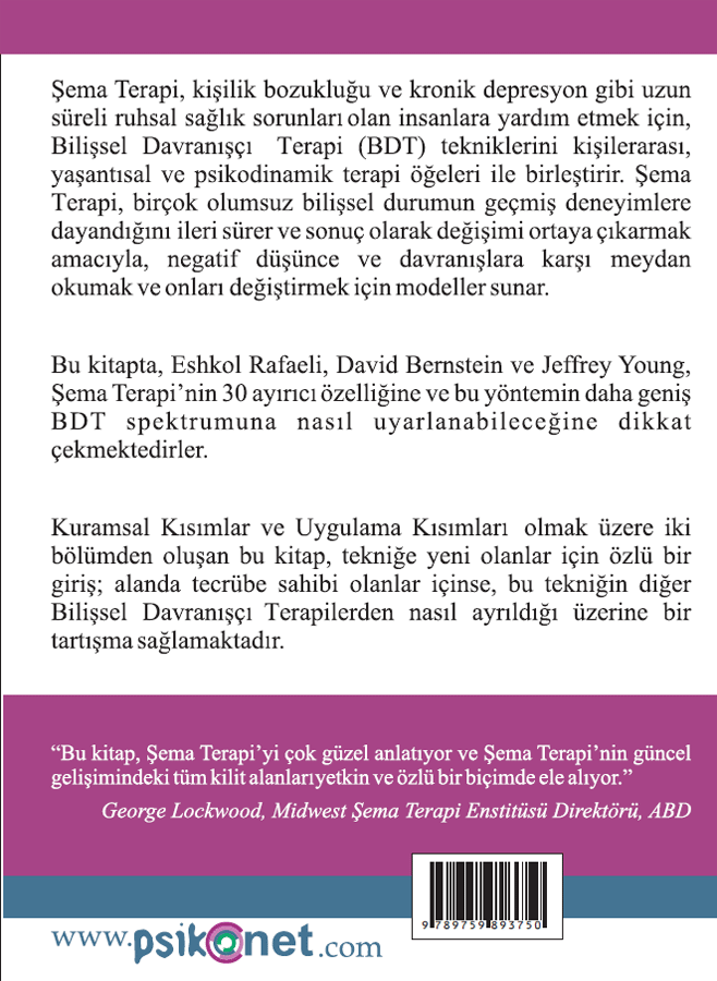 Şema Terapi: Ayırıcı Özellikler – Görsel 2