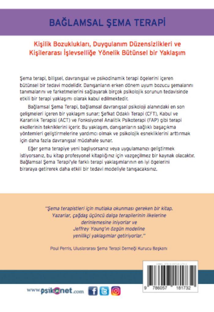 Bağlamsal Şema Terapi - Kişilik Bozuklukları ,Duygulanım Düzensizlikleri , Kişilerarası İşlevsellik – Görsel 1