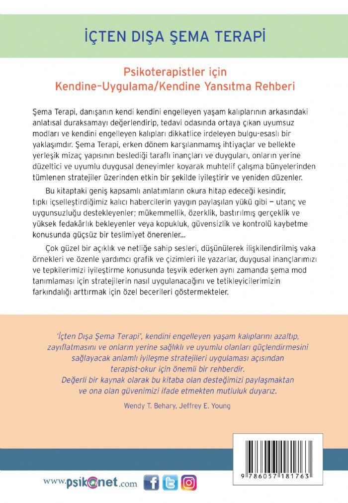 İçten Dışa Şema Terapi – Görsel 1