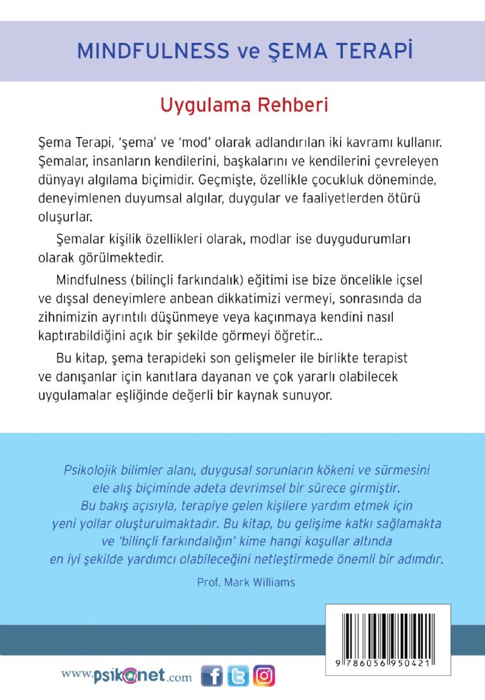Mindfulness ve Şema Terapi Uygulama Rehberi – Görsel 1
