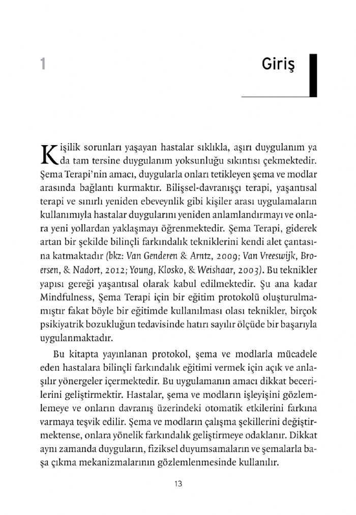 Mindfulness ve Şema Terapi Uygulama Rehberi – Görsel 2