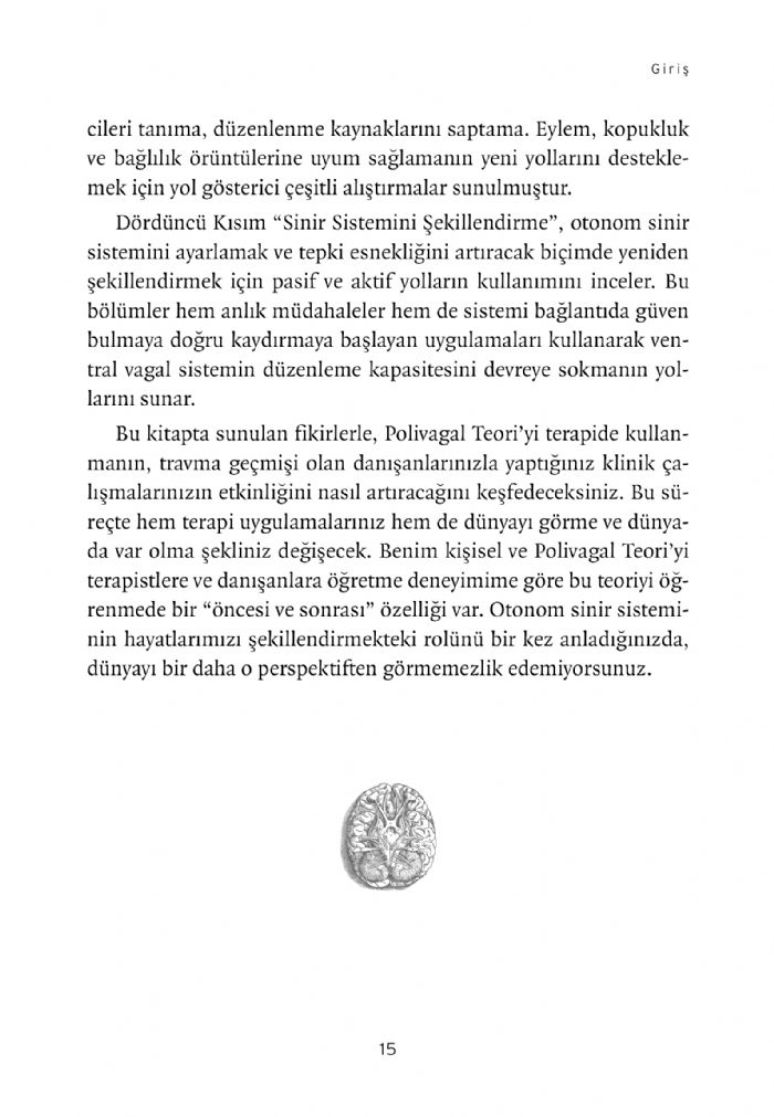 Terapide Polivagal Teori - Ruhsal Düzenlenmenin Ritmine Uymak – Görsel 4
