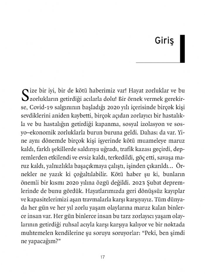 Görsel 2